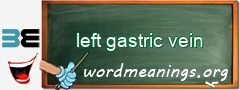 WordMeaning blackboard for left gastric vein